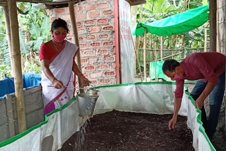 vermicompost business