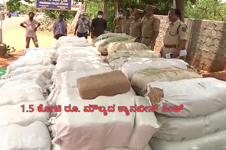 Rs.1.5 crore cannabis at vishaka district sabbavaram road