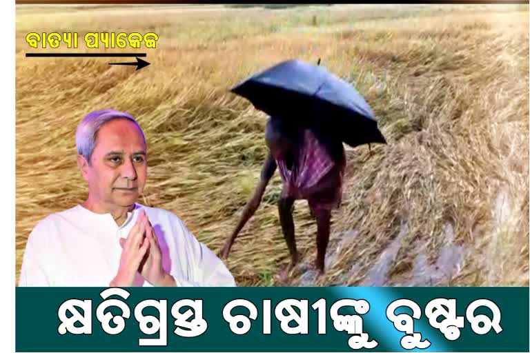 cyclone YAAS: କୃଷିକ୍ଷେତ୍ର ପାଇଁ ସ୍ବତନ୍ତ୍ର ପ୍ୟାକେଜ; କ୍ଷତିଗ୍ରସ୍ତଙ୍କୁ ମିଳିବ ଇନପୁଟ ସହାୟତା