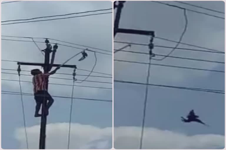 Power pole Electrocution : માલપુરમાં વીજ પોલ પરથી પક્ષીને બચાવવા જતાં શ્રમિકનું મોત