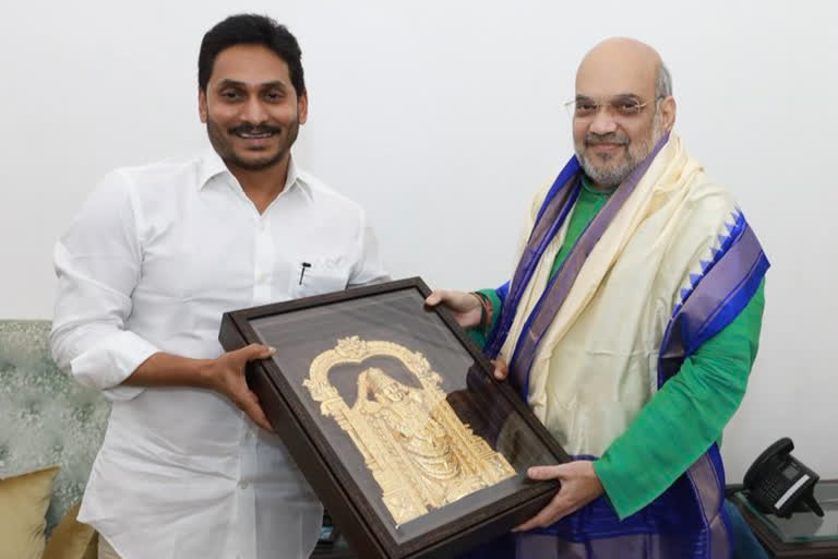 AP CM meets Amit Shah