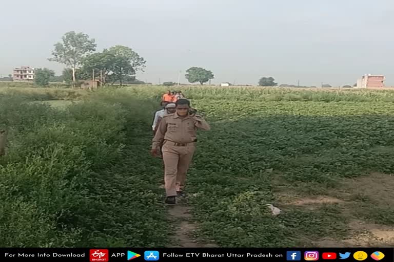 girl found unconscious  girl found in field  Gursahaiganj Kotwali Area  kannauj gursahaiganj news  kannauj latest new in hindi  kannauj today news in hindi  kannauj crime news  खेत में अचेत अवस्था में मिली मासूम  मक्का के खेत में मिली बच्ची  गुरसहायगंज कोतवाली क्षेत्र  सुभाष नगर मोहल्ला  सीओ सदर शिव प्रताप सिंह  कन्नौज की ताजा खबर