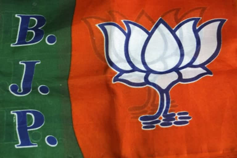 BJP most popular party among Indian diaspora in US: Survey