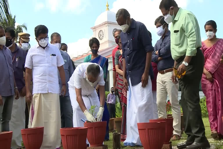 ഓണത്തിനൊരു മുറം പച്ചക്കറി  മുഖ്യമന്ത്രി  പിണറായി വിജയന്‍  സെക്രട്ടറിയേറ്റ്  ഓണം  Onam  കര്‍ഷകര്‍  Farmers  Onathinoru muram pachakkari  Chief Minister inaugurated 'Onathinoru muram pachakkari'