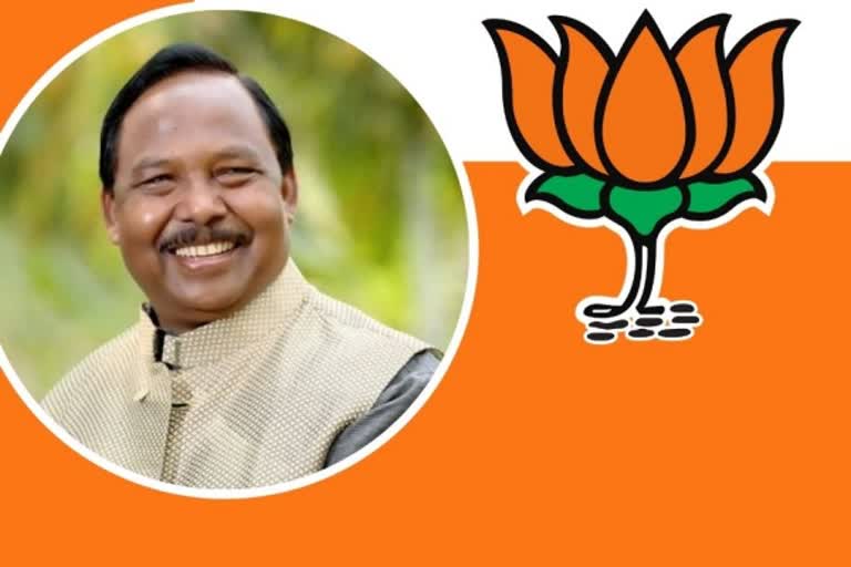 BJP MP