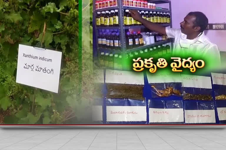 NATUROPATHY: కరోనాతో ప్రకృతి వైద్యం వైపు మొగ్గు చూపుతున్న ప్రజలు