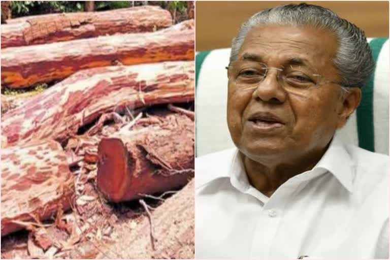 Muttil Wood theft case  CM says those who eat salt they will drink  മുട്ടില്‍ മരംമുറി കേസ്  ഉപ്പു തിന്നവര്‍ വെള്ളം കുടിക്കുമെന്ന് മുഖ്യമന്ത്രി  മുഖ്യമന്ത്രി പിണറായി വിജയന്‍  രണ്ടാം പിണറായി സര്‍ക്കാര്‍  2nd pinarayi government