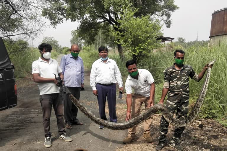 taalaab mein khudaee karate samay nikala ajagar in bareilly