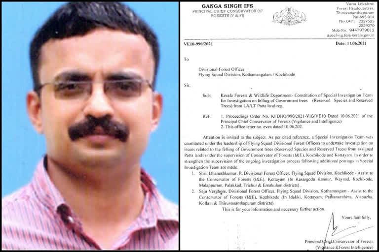 muttil illegal tree cutting  muttil case  dhanesh kumar  Muttil Investigation Team  മുട്ടിൽ മരംമുറി കേസ്  ധനേഷ് കുമാർ  മുട്ടിൽ മരംമുറി അന്വേഷണ സംഘം