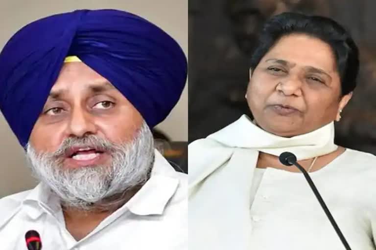 Akali-BSP Alliance: ਕਮਲ ਨਾਲੋਂ ਟੁੱਟ ਹਾਥੀ ਨਾਲ ਜੁੜੀ ਤੱਕੜੀ