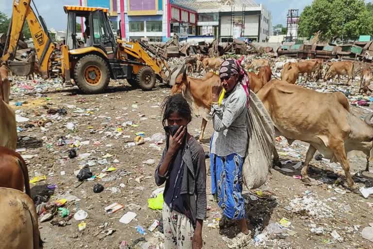 World Day Against Child Labour:  જૂનાગઢના બાળકો મજૂરી કરતાં જોવા મળ્યાં