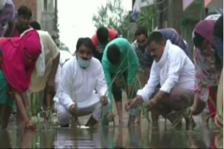 विरोध का अनोखा तरीका