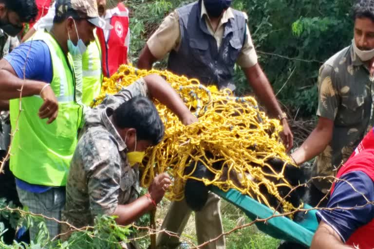 Bear capture in Bellary