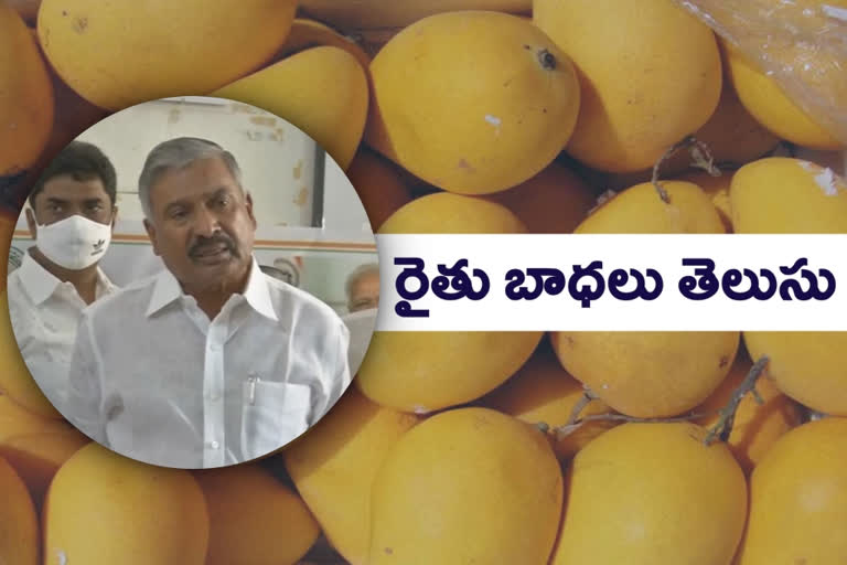 minister peddi reddy on mango farmers in chittoor