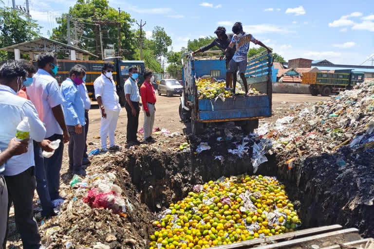 ரசாயனம் மூலம் பழுக்க வைக்கப்பட்ட 4 டன் மாம்பழம் அழிப்பு