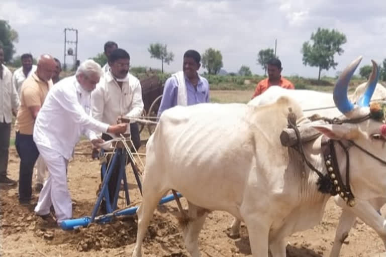 कृषीमंत्र्यांकडून शेतकऱ्याच्या शेतात पेरणी