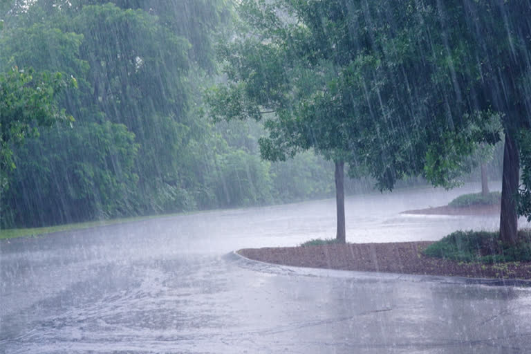 തെക്കുപടിഞ്ഞാറൻ കാലവർഷം  കാലവർഷം  Southwest monsoon  monsoon  heavy rain  heavy rain in states  rain updates  weather updates  ഐഎംഡി  imd  കാലാവസ്ഥാ നിരീക്ഷണ കേന്ദ്രം