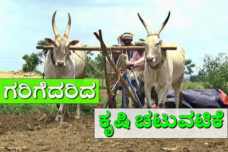 Agricultural activity in Haveri