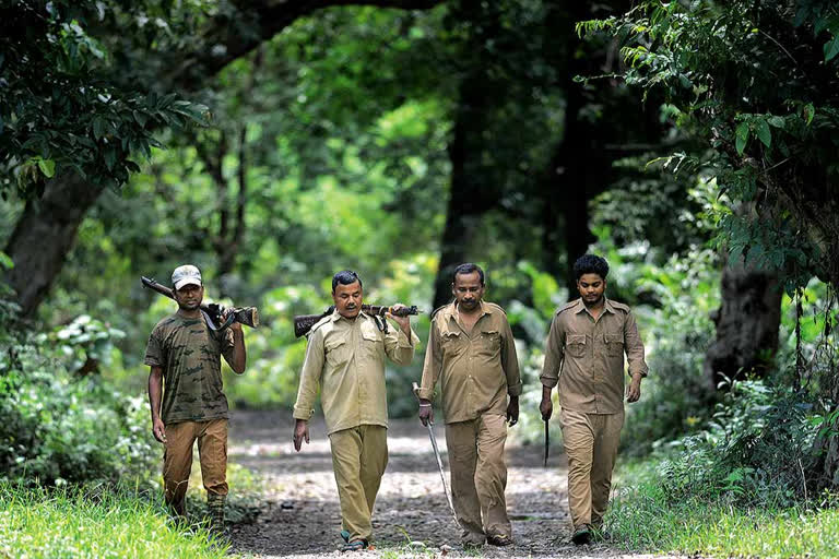 forest workers