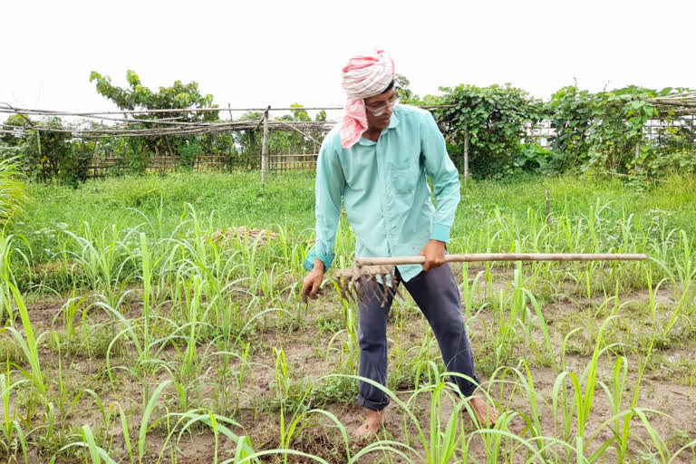 physicist-turned-farmer-influencing-many-others-to-agriculture