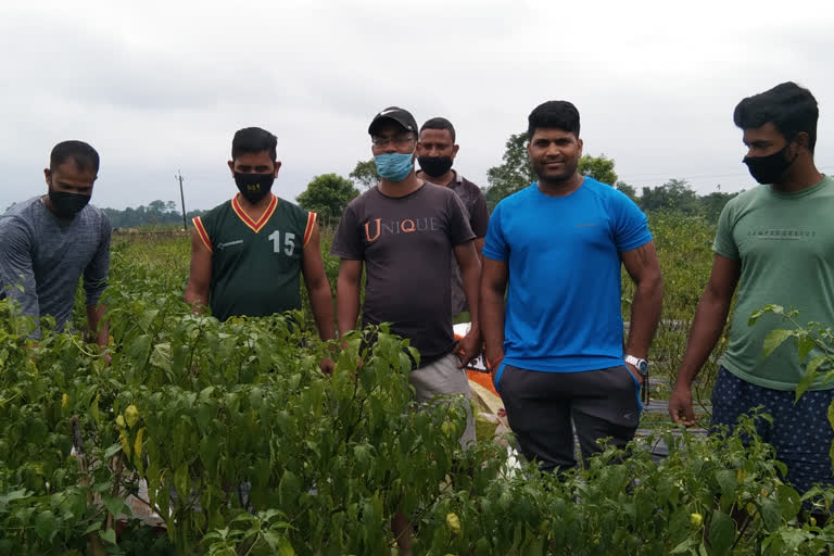 educated youth of flood affected nowboicha brings revolution through agriculture work