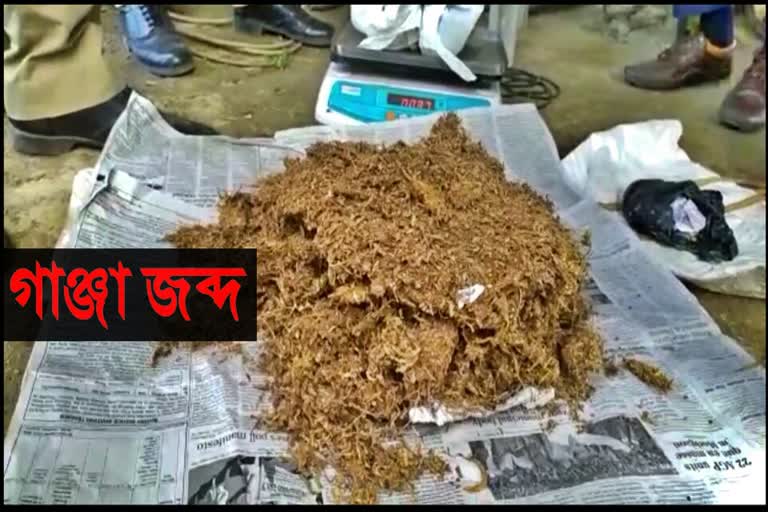 Large quantity of ganja seized in Majuli