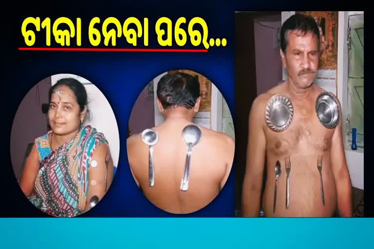 magnatic power increase in body after vaccination in dhenkanal