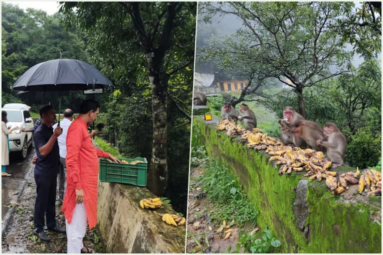 Nalin kumar kateel give bananas to monkeys