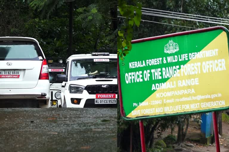 മരംകൊള്ള  അടിമാലി റേഞ്ച് ഓഫിസ്  ഇടുക്കി  tree felling issue  adimali forest range  forest department  idukki