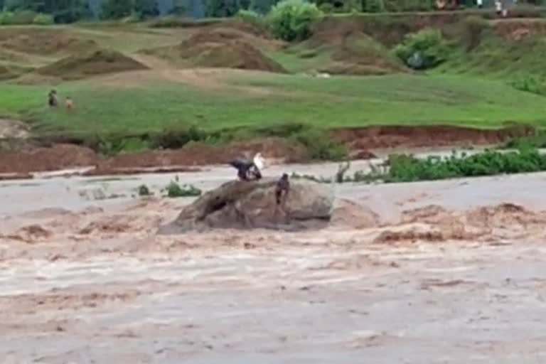 Suddenly increase in label of water of river three youths trapped in the river