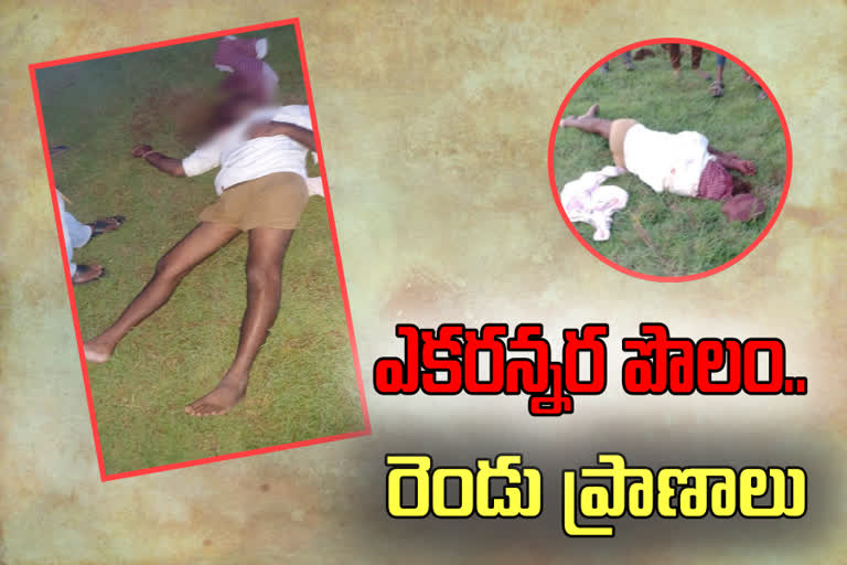 ap murder, murder in ap, ap crime news