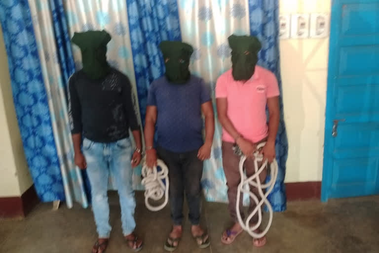 3 cyber criminals arrested