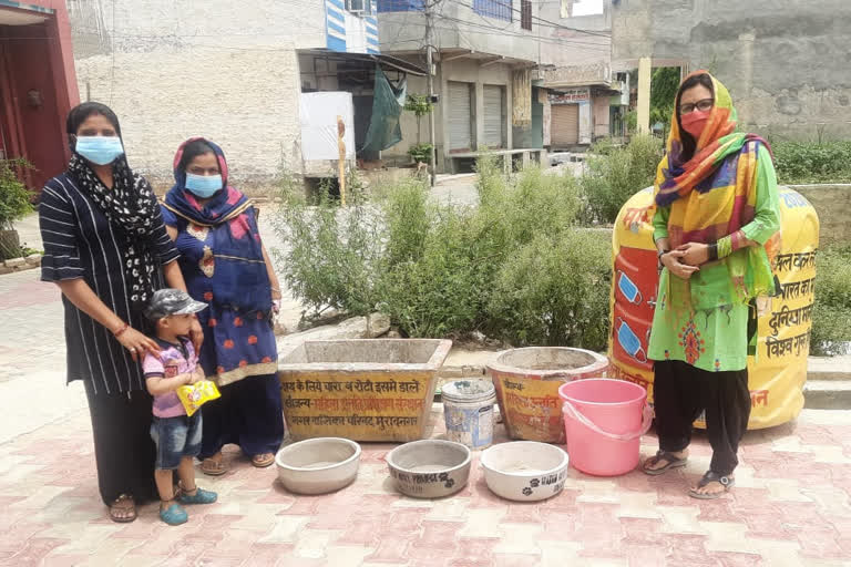 drinking water for homeless animals