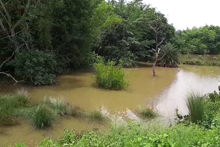 water logging problem in chirugoda village in ghatshila