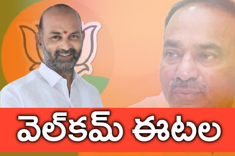 bandi sanjay, bjp telangana president bandi sanjay, mp bandi sanjay