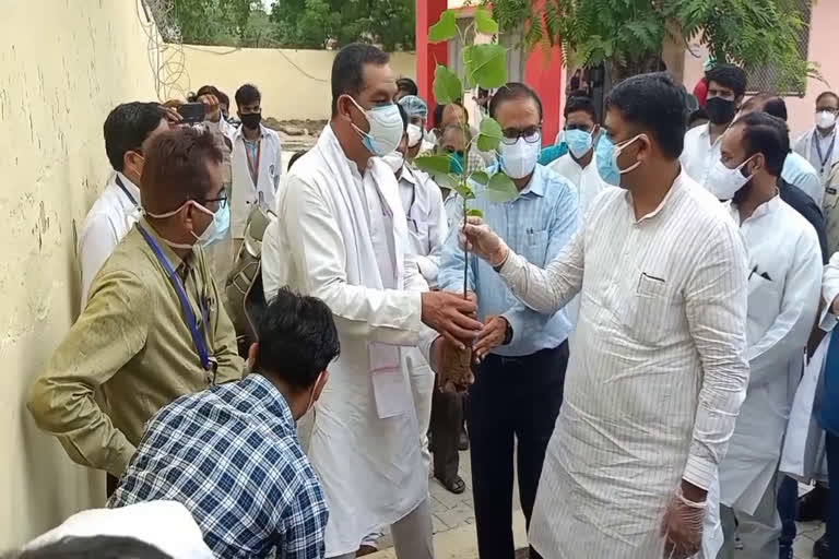 अलवर सामान्य अस्पताल में लगेंगे पौधे, Plants planted in Alwar General Hospital