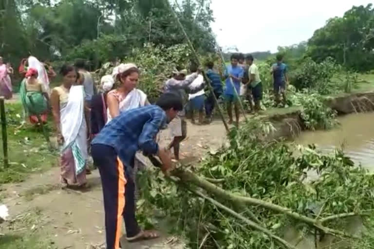 Erosion in Lower Majuli