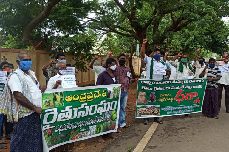 farmers protest at eluru Collectorate to demand release grain dues