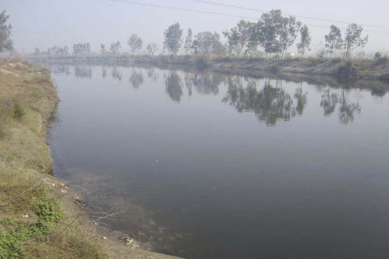 Western Yamuna Canal