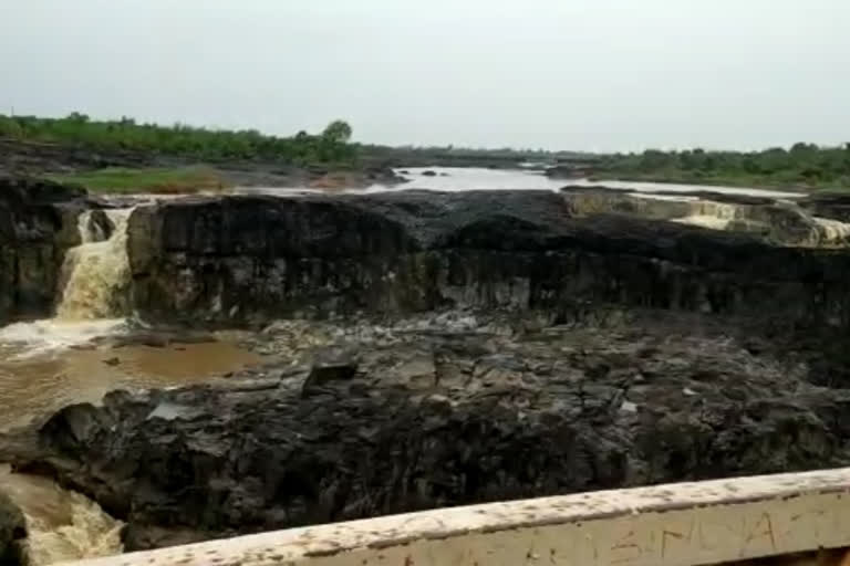 vishnupuri dam's door open in nanded