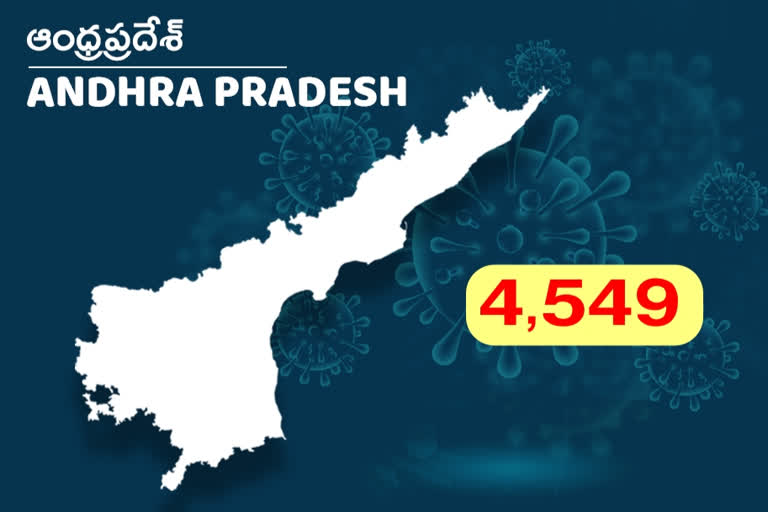 new 4549 covid cases register in ap