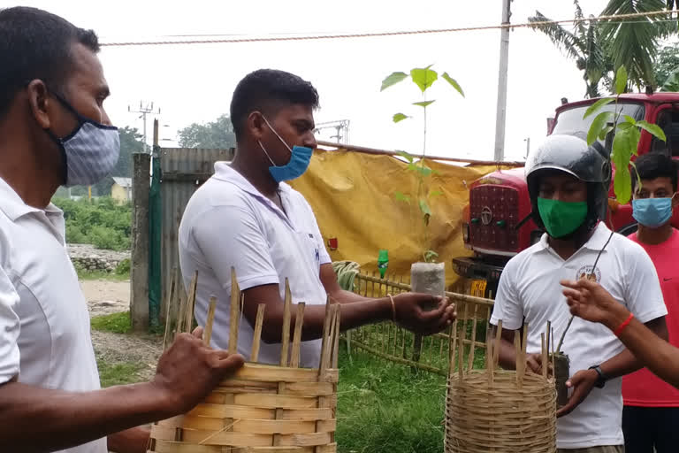 'Duare Gaach' programme brings saplings to Bengal doorsteps