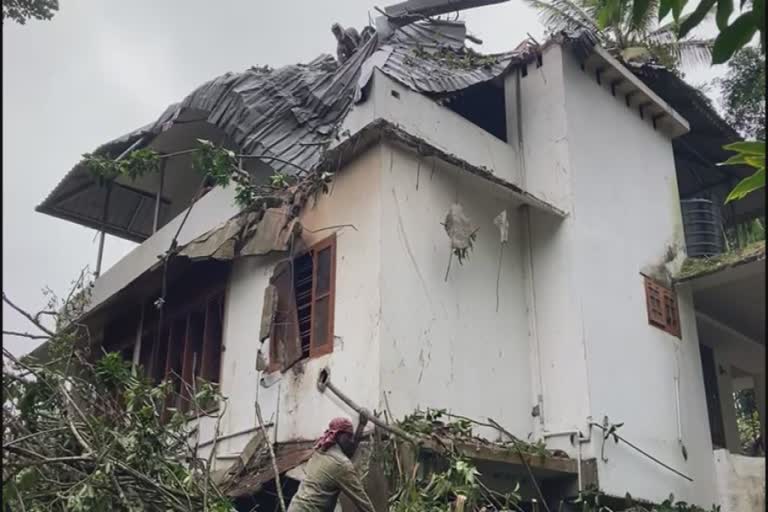 tree fell, two houses collapsed  രാജകുമാരിയിൽ മരം വീണ് രണ്ട് വീടുകൾ തകർന്നു  രാജകുമാരി  മരം വീണു  രണ്ട് വീടുകൾ തകർന്നു  tree fell  two houses collapsed