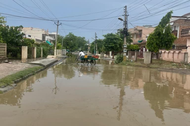 Roads of Bhiwani Sector-13 in bad condition