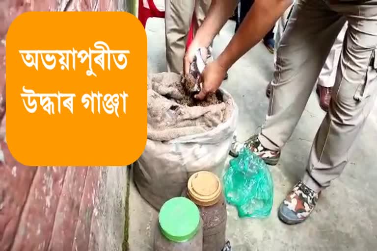 অভয়াপুৰীত আৰক্ষীৰ অভিযানত উদ্ধাৰ গাঞ্জা