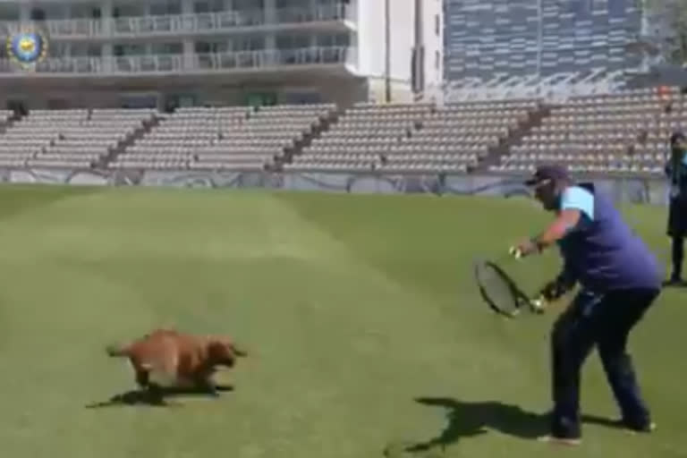 ravi shastri, playing catch with a dog