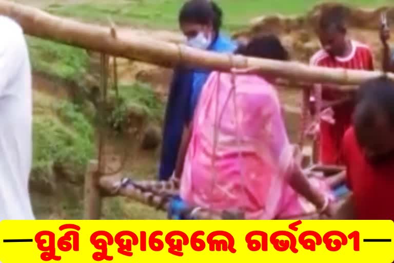 pregnant woman carried in cot, no road in rajatnagar village of mayurbhanj, rajatnagar village of mayurbhanj, ଗାଁକୁ ନାହିଁ ରାସ୍ତା, ଖଟିଆରେ ବୁହାହେଲେ ଗର୍ଭବତୀ, ରଜତନଗର ଗ୍ରାମ, ମୟୂରଭଞ୍ଜ ଜିଲ୍ଲା କପ୍ତିପଦା ବ୍ଳକ