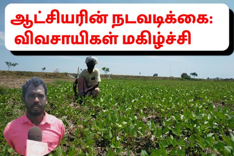 second-crop-farming-ramanathapuram-done-after-30-year-with-initiative-of-collector-huge-cultivation