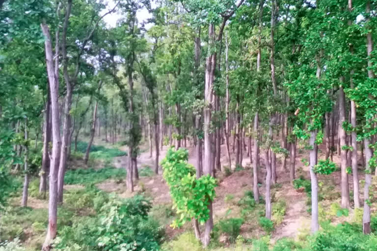 Dehradun