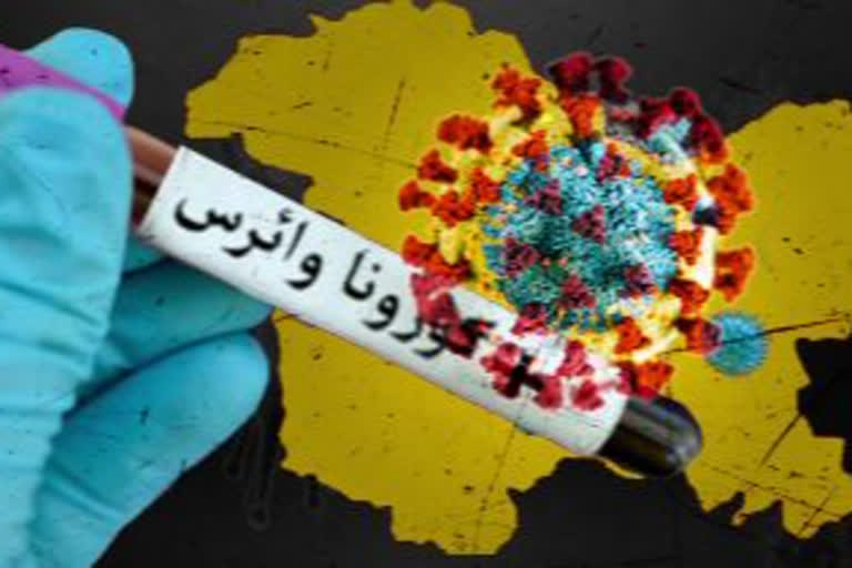 کووڈ سے اموات کی تعداد 4200 سے تجاوز